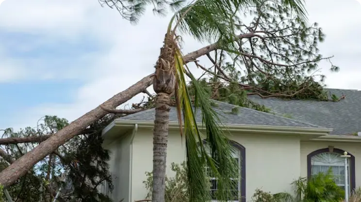 types of property damage claims & Damage house roof